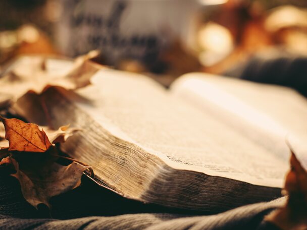 Altes Buch, aufgeschlagen liegend, bunte Herbstblätter drum herum